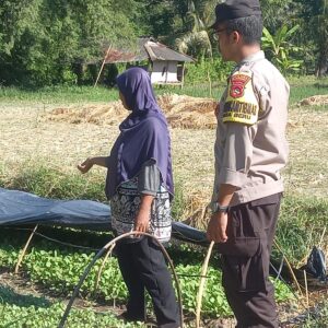 Dorong Swasembada Pangan, Bhabinkamtibmas Desa Beru Tinjau Kebun Sayur Warga