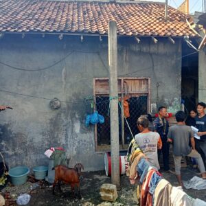 Beli Kambing Hasil Curian, Seorang Pria Diamankan Tim Opsnal Polsek Rasbar, Pelaku Utama Masih Diburu