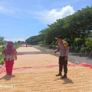 Bhabinkamtibmas Desa Hu’u Ajak Warga Waspadai Cuaca Demi Jaga Kualitas Panen Jagung
