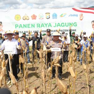 Kapolri-Mentan Panen Raya Jagung di Bone, Dukung Program Ketahanan Pangan Nasional