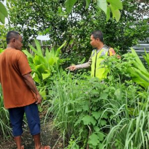 Dukung Ketahanan Pangan, Bhabinkamtibmas Seteluk Atas Pantau Lahan Pangan Bergizi Warga