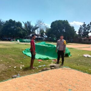 Pemantauan Jagung oleh Bhabinkamtibmas Desa Sawe untuk Dukung Ketahanan Pangan Nasional