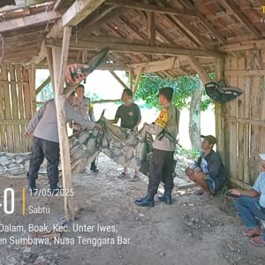 Polsek Sumbawa Tertibkan Gelaran Sabung Ayam di Desa Boak, Warga Kooperatif Membubarkan Diri