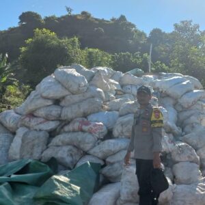 Pantau dan Bantu Kegiatan Petani, Bhabinkamtibmas Polsek Sanggar Dukung Penuh Ketahanan Pangan Nasional