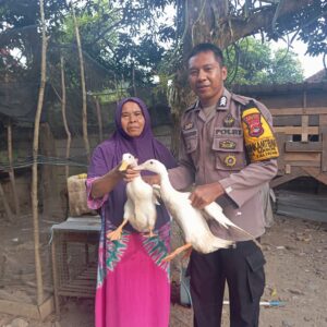 Dukung Wirausaha Warga Binaan, Bhabinkamtibmas Desa Sermong Komitmen Bantu Bibit Ternak Bebek Petelur