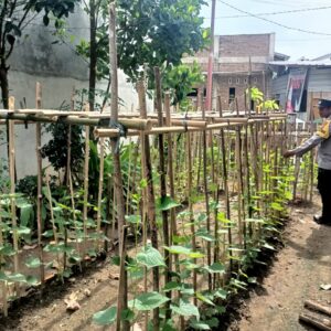 Asta Cita Swasembada Pangan, Bhabinkamtibmas Desa Beru Aktif Monitoring Ketahanan Pangan Desa