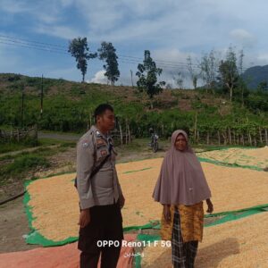 Wujudkan Ketahanan Pangan, Bhabinkamtibmas Desa Adu Pantau Penjemuran Jagung Milik Warga