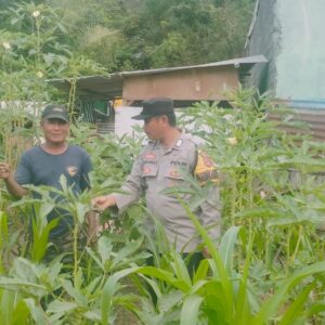 Bhabinkamtibmas Desa Mantun Aktif Monitoring Pengelolaan Pekarangan Pangan Bergizi