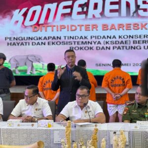 Dittipidter Bareskrim Polri Ungkap Perdagangan Ilegal Gading Gajah di Sukabumi dan Jakarta