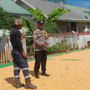Bhabinkamtibmas Desa Daha Pantau Penjemuran Jagung Warga, Dukung Ketahanan Pangan Menuju Indonesia Emas 2045