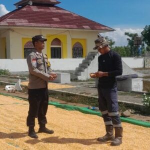 Bhabinkamtibmas Desa Daha Pantau Kegiatan Jemur Jagung Warga dalam Rangka Dukung Ketahanan Pangan Nasional