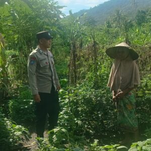 Sinergi Polisi dan Petani: Ketahanan Pangan di Lombok Barat Diperkuat