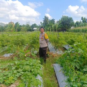 DDS Polsek Gerung Perkuat Ketahanan Pangan Desa Beleka