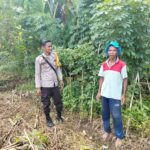 Bhabinkamtibmas Desa Rumak Aktif Edukasi Warga Soal Swasembada Pangan