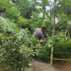 Gerung Kembangkan Ketahanan Pangan Lewat Kolaborasi Warga dan Polisi