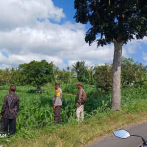 Kunjungan Bhabinkamtibmas di Lombok Barat Jadi Penyemangat Petani Lokal