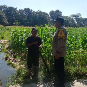 Sinergi Polisi dan Petani Wujudkan Ketahanan Pangan di Gerung Selatan