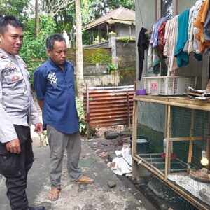 Peternakan Mandiri Warga Jagaraga Jadi Contoh Ketahanan Pangan Lokal
