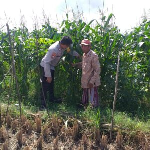 Sinergi Polri dan Warga Tingkatkan Kemandirian Pangan