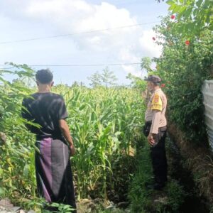 Sinergi Polri dan Petani di Desa Ombe Baru, Lombok Barat