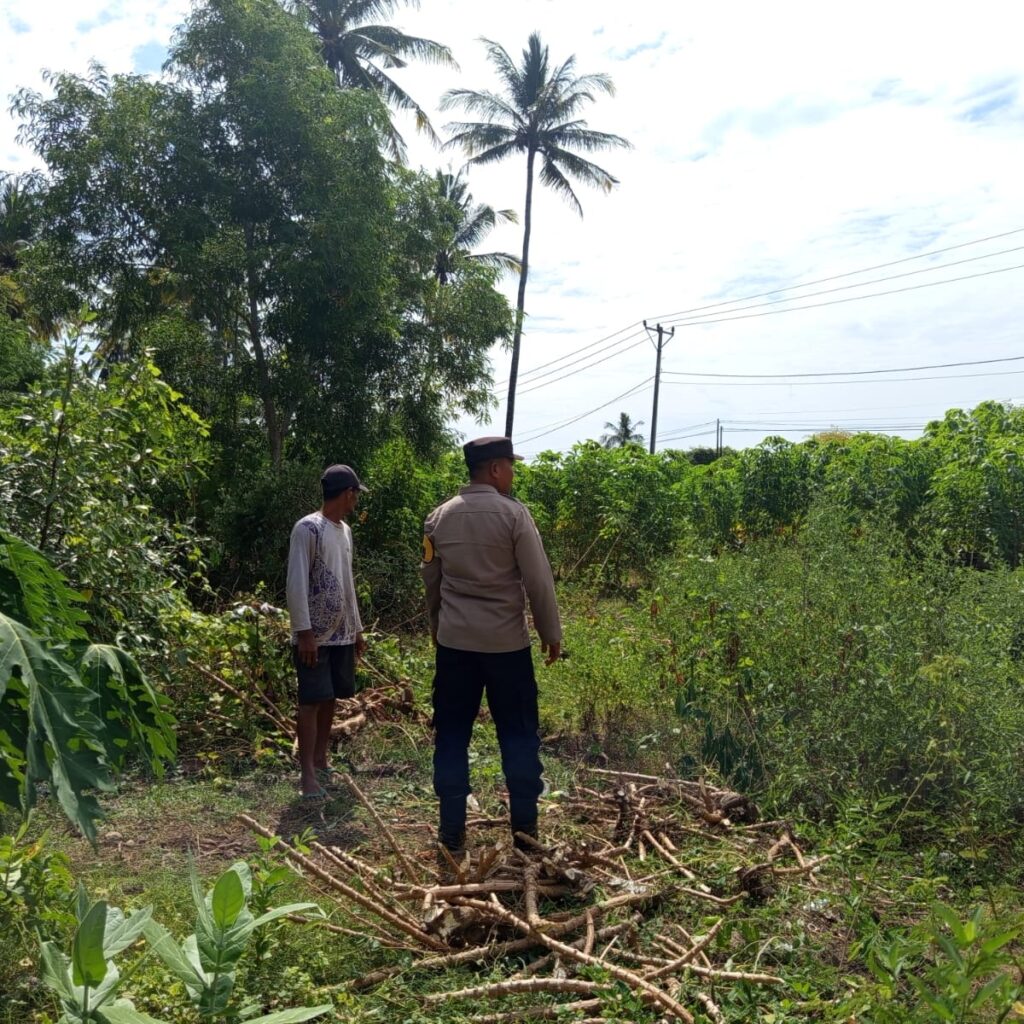 Polisi dan Petani Bersinergi Jaga Ketahanan Pangan di Sekotong