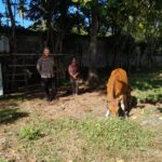 Bhabinkamtibmas Aktif Edukasi Pertanian di Desa Senggigi