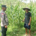 Bhabinkamtibmas Taman Baru Giat Dorong Pemanfaatan Lahan Kosong
