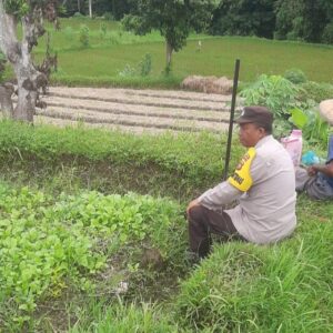 Sinergi Polri dan Petani di Kediri Lombok Barat Kuatkan Ketahanan Pangan