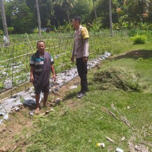 Polres Lombok Barat Galakkan Pertanian Lewat DDS Bhabinkamtibmas