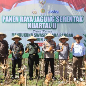 Panen Raya Jagung, Polres Loteng Dukung Swasembada Pangan Nasional. ‎