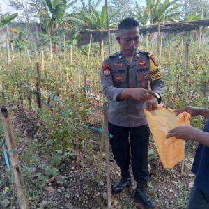Polres Lombok Tengah Gencarkan Program Pekarangan Bergizi Dukung Ketahanan Pangan Nasional dan Asta Cita Presiden.