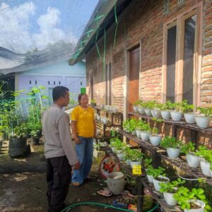 Polres Loteng Tinjau Lahan Pekarangan Pangan Bergizi Milik Warga di Batukliang Utara