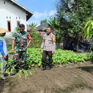 Polres Loteng Tinjau Lahan Pekarangan Pangan Bergizi Milik Warga di Kopang