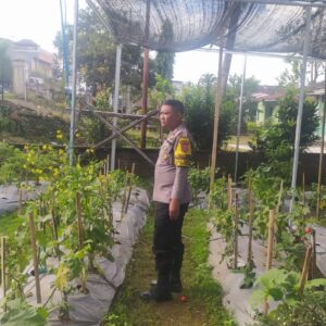 Polres Loteng Tinjau Lahan Pekarangan Pangan Bergizi Milik Warga di Batukliang.