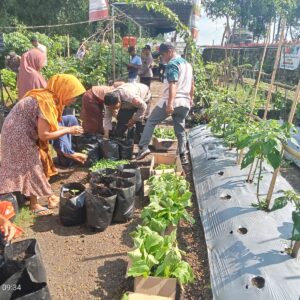 Polres Loteng Terus Gelorakan Ketahanan Pangan Melalui Penanaman Bibit Cabai Bersama Masyarakat