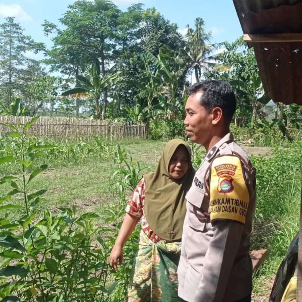 Gerakan Pekarangan Bergizi Mulai Diterapkan di Dasan Geres