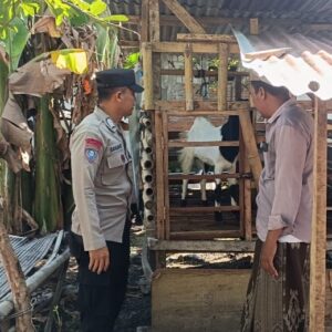 Lahan Pekarangan Jadi Solusi Pangan, Polri Aktif di NTB