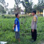 Ketahanan Pangan Desa Kuripan Didukung Langsung Aparat Kepolisian