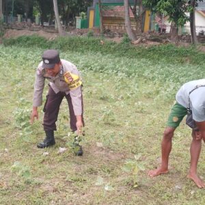 Ketahanan Pangan Lokal, Inisiatif Bhabinkamtibmas di Lombok Barat