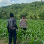 Kunjungan DDS: Ketahanan Pangan dan Kamtibmas Jadi Fokus Polisi Sekotong