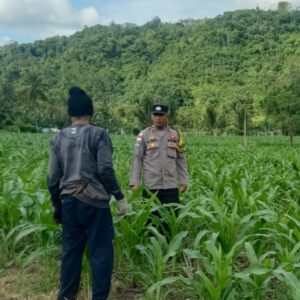DDS di Lombok Barat: Polisi Ajak Warga Optimalkan Pekarangan
