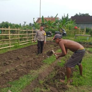 Sinergi Polri dan Warga Jagaraga Wujudkan Pangan Mandiri