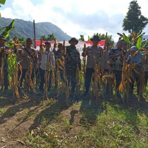 Sinergi Petani-Polri Sukseskan Panen Jagung Batulayar