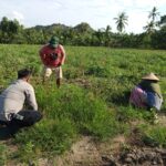 Pemanfaatan Lahan Pekarangan Didorong Bhabinkamtibmas Sekotong Barat