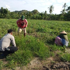 Pemanfaatan Lahan Pekarangan Didorong Bhabinkamtibmas Sekotong Barat