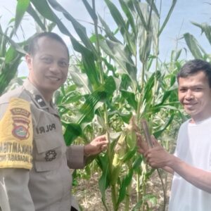 Pendampingan Petani oleh Bhabinkamtibmas di Desa Jagaraga Indah