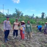 Peran Polri Dalam Swasembada Pangan di Sekotong, NTB