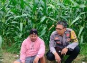 Polisi Aktif di Ladang: Wujud Komitmen Ketahanan Pangan Desa Eyat Mayang