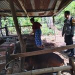 Polri Dorong Swasembada Pangan di Batulayar Barat