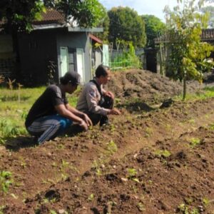 Swasembada Pangan, Polres Lombok Barat Terjun Langsung ke Masyarakat